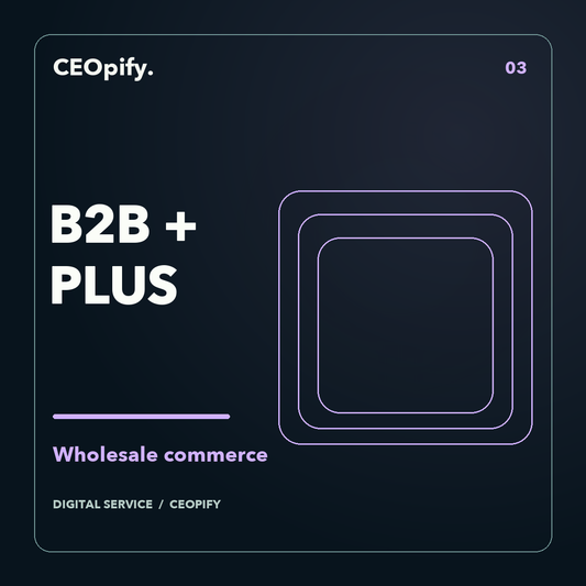 Shopify B2B and Plus blueprint service by CEOpify